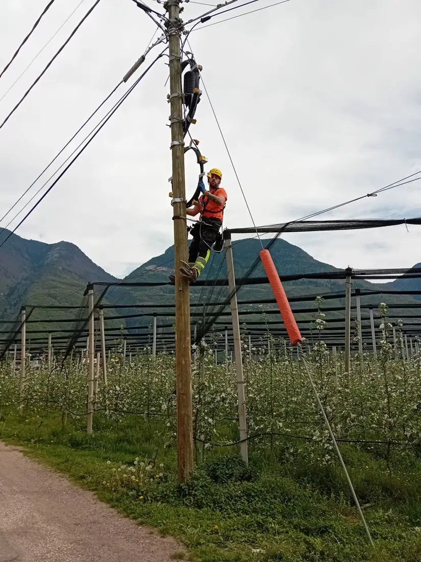 Linea MT Merano